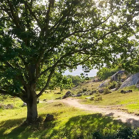 Modern Hostel. Private Neksø