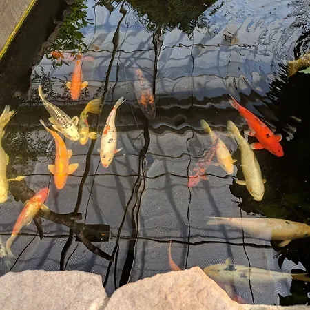 Modern Hostel. Private Hostel