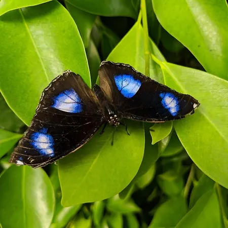 Modern Hostel. Private * Neksø