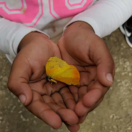 Hostel Modern Hostel. Private *