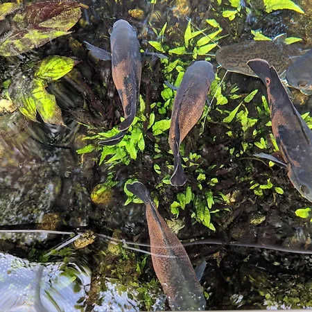 Modern Hostel. Private *