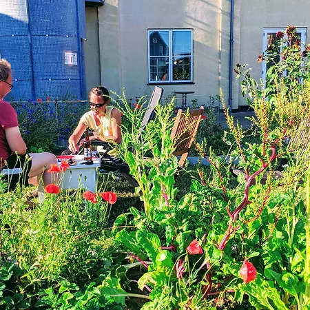 Modern Hostel. Private