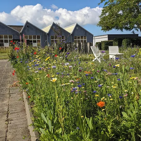 Modern Hostel. Private *