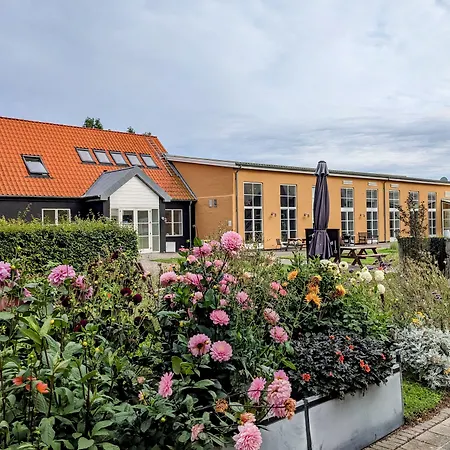 Modern Hostel. Private Hostal