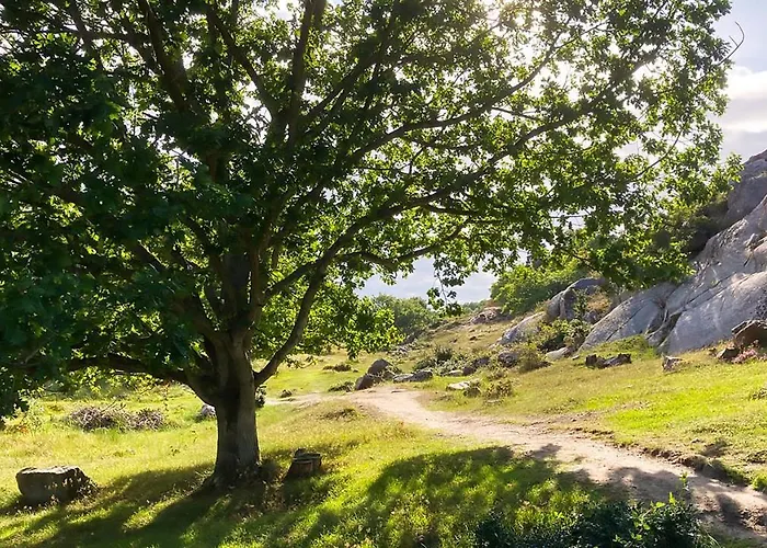 Modern Hostel. Private Нексё
