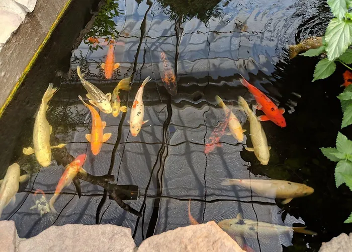 Modern Hostel. Private Хостел