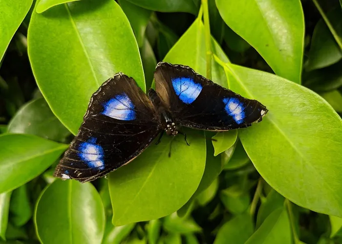 Modern Hostel. Private * Нексё