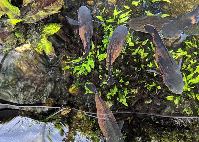 Modern Hostel. Private *