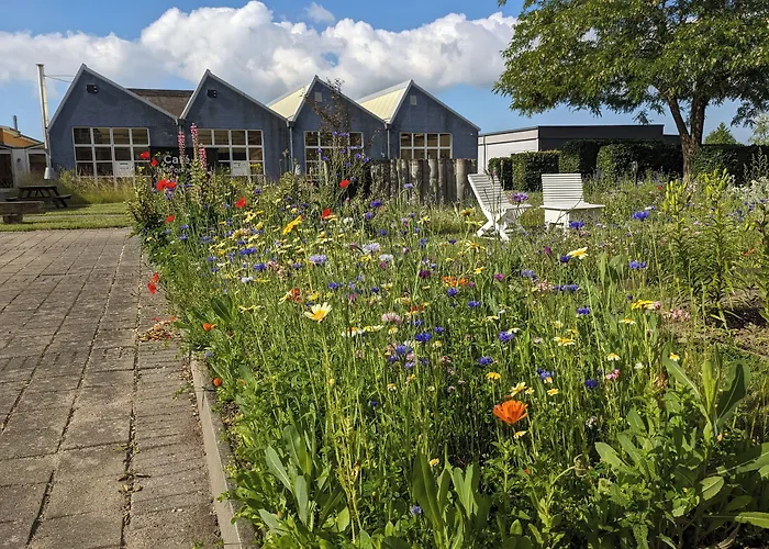 Modern Hostel. Private *