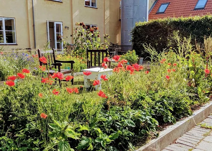 Хостел Modern Hostel. Private Нексё